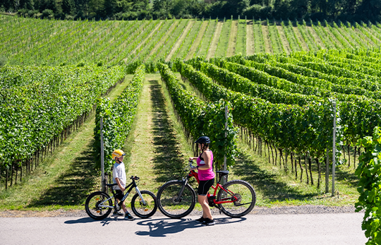 Radfahren und Touren